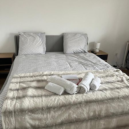 Appartement Luxueux Au Coeur De Λιλ Εξωτερικό φωτογραφία
